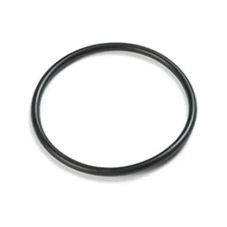 O-ring coperchio pre-filtro Zodiac R0480201 per pompe FloPro