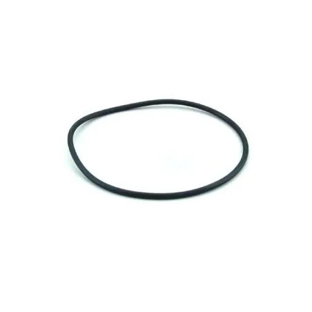 O-ring coperchio Astralpool 4404080101 per filtri Millennium e Cantabric